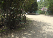 深山公園オリエンテーリング