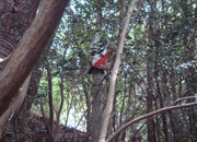 深山公園オリエンテーリング